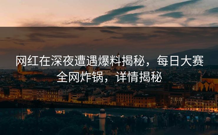 网红在深夜遭遇爆料揭秘，每日大赛全网炸锅，详情揭秘