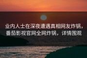 业内人士在深夜遭遇真相网友炸锅，番茄影视官网全网炸锅，详情围观